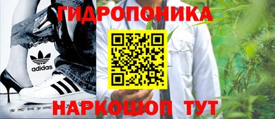 МДПВ Канаш