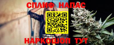 МДПВ Канаш
